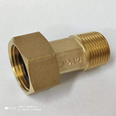 רקורד לשעון מים "3/4 שגיב