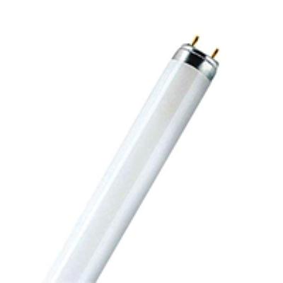 נורה פלור36W ' לבן
